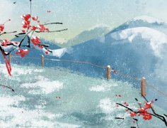 苏珊米勒2024年1月巨蟹座运势