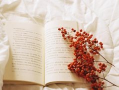 苏珊米勒2024年1月白羊座运势