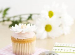 苏珊米勒2024年1月双子座运势