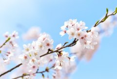 苏珊米勒2024年2月射手座运势