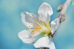 苏珊米勒2024年2月金牛座运势