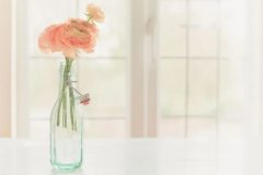 苏珊米勒2024年4月金牛座运势