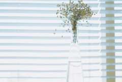 苏珊米勒2024年4月摩羯座运势