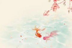 苏珊米勒2024年5月天秤座运势