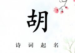 姓胡男孩诗词起名200例_诗经诗词给姓胡男孩起名