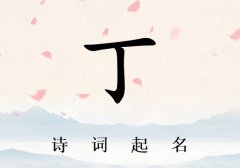 姓丁男孩诗词起名200例_诗经诗词给姓丁男孩起名