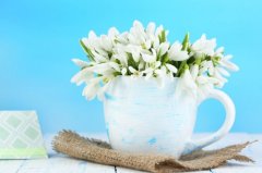 苏珊米勒2024年6月双鱼座运势