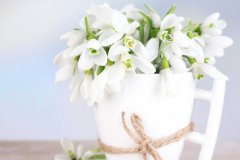 苏珊米勒2024年6月巨蟹座运势