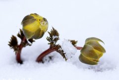 苏珊米勒2024年6月天秤座运势