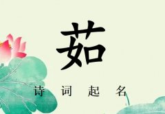 姓茹女孩诗词起名200例_诗经诗词给姓茹女孩起名