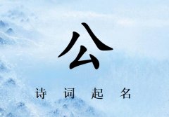 姓公女孩诗词起名200例_诗经诗词给姓公女孩起名