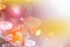 苏珊米勒2024年7月摩羯座运势