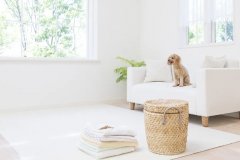 苏珊米勒2024年8月水瓶座运势