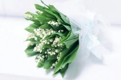 苏珊米勒2024年8月天秤座运势