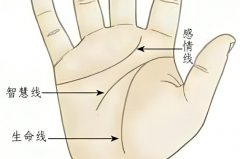 嫁得好的女人手相