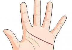 同性恋倾向的女人手相