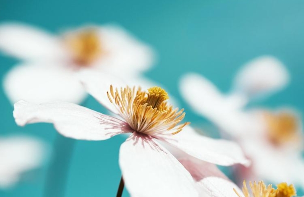 星座2024年8月19日到25日一周运势