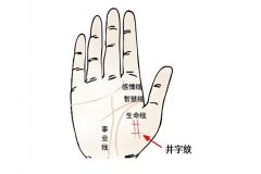 手相井字纹解析