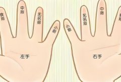 无名指和小指指纹奥秘