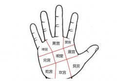 手相中哪些部位最重要