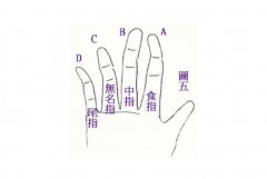 手指弯曲看性格好坏