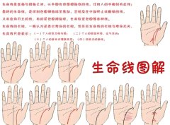 不同生命线的看法