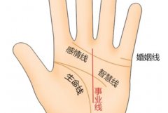 命运线与事业线的关系