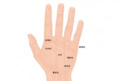 生命线很乱预示着什么