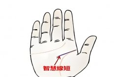 智慧线过短或过垂,皆是灾象