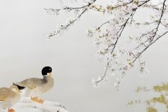 部分名人八字死因分析