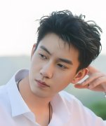 王子奇的出生日期_王子奇生肖属什么的?_王子奇的生辰八字