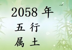2058年五行属什么?2058年出生是什么命?