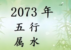 2073年五行属什么?2073年出生是什么命?