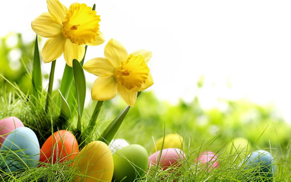 ţ2025Ƽ˳,2025ţȫ˳