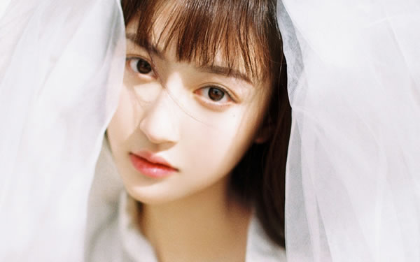 双子座2026年运势详解