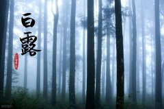 2026年白露是哪一天,2026年白露的具体时间