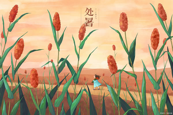 2026年处暑是哪一天,2026年处暑的具体时间